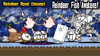 Battle Cats - Reindeer Road Expert Insane Guide No Eraser Needed Reindeer Fish Awakens