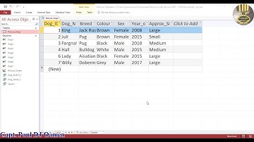 How to Delete Records Using SQL in Microsoft Access