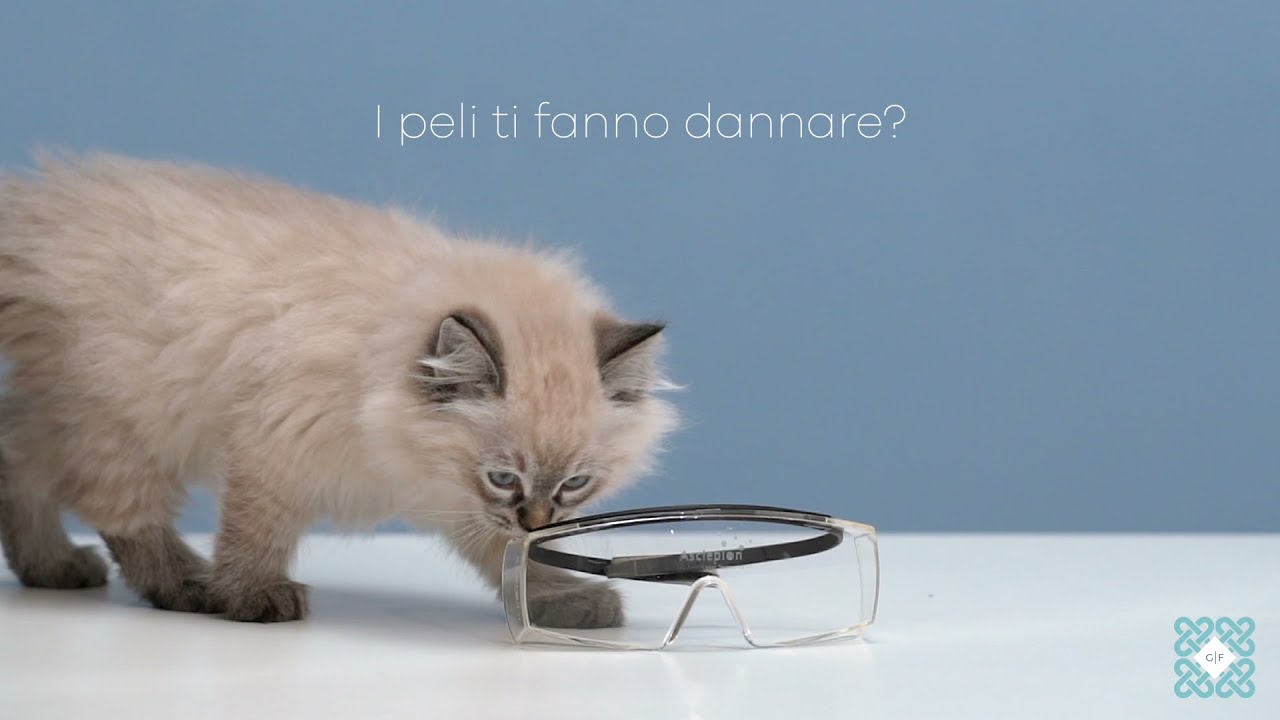 Peli superflui? #1 - Spot | GF Medical