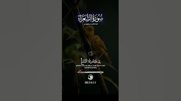 سورة الشعراء /استغفروا ربكم/اكتب شيء تؤجر علية/اضافة+تعليق+لايك+نشر