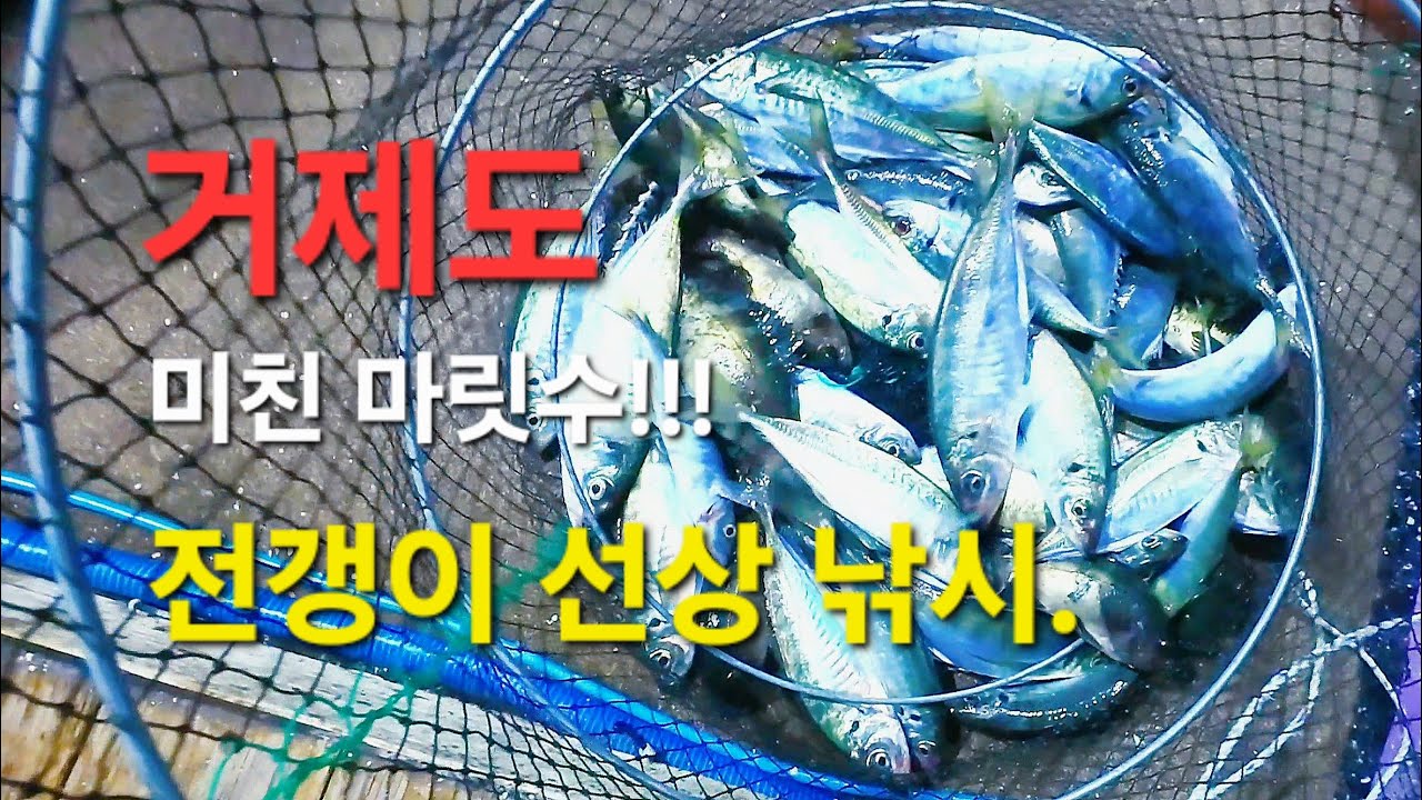 거제도 선상 전갱이 낚시1화.