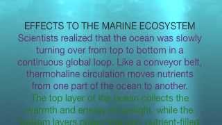 Global Warming - It's effects to the Thermohaline Circulation