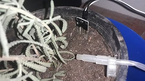 ✅ Como medir la humedad de la tierra * Ditecno Digital