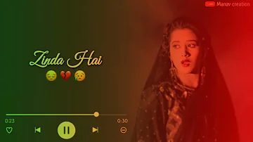 Tujhse Bichhad Ke Zinda Hai Song Status/Sad Song/90s Song/Trending Lyrics/#status#anuradhapaudwal