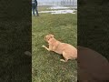 Winston Preparing for Morel Season