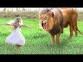 Girl Reunites With Pet Lion After 7 YEARS…