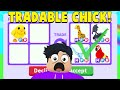 I traded my CHICK PET in Adopt Me! (RAREST PET)