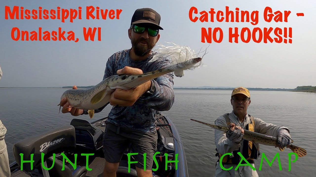 Fishing for Gar with NO HOOKS! YouTube