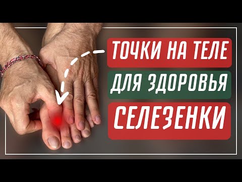 Как улучшить кровоток в теле, воздействием на точки (Селезенка 2) | Роман Полежаев