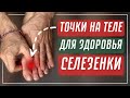 Как улучшить кровоток в теле, воздействием на точки (Селезенка 2) | Роман Полежаев