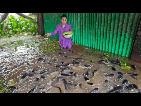 НЕВЕРОЯТНЫЕ МОМЕНТЫ, СНЯТЫЕ НА КАМЕРУ