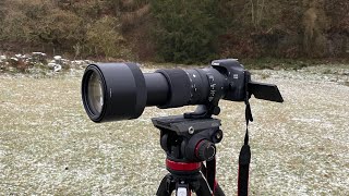 sigma 150-600mm contemporary review after 1.5+ years