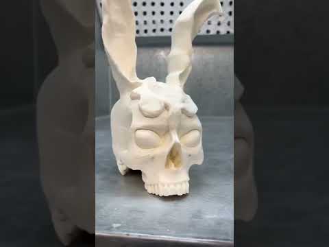 Franks skull #shorts