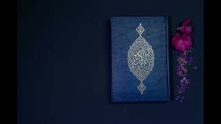 48. Surah Al-Fath screenshot 2