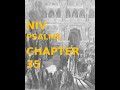 PSALMS(NIV), CHAPTER 35