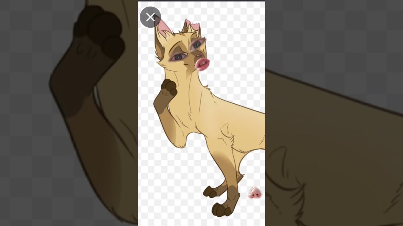 No Firestar Is Not Poop