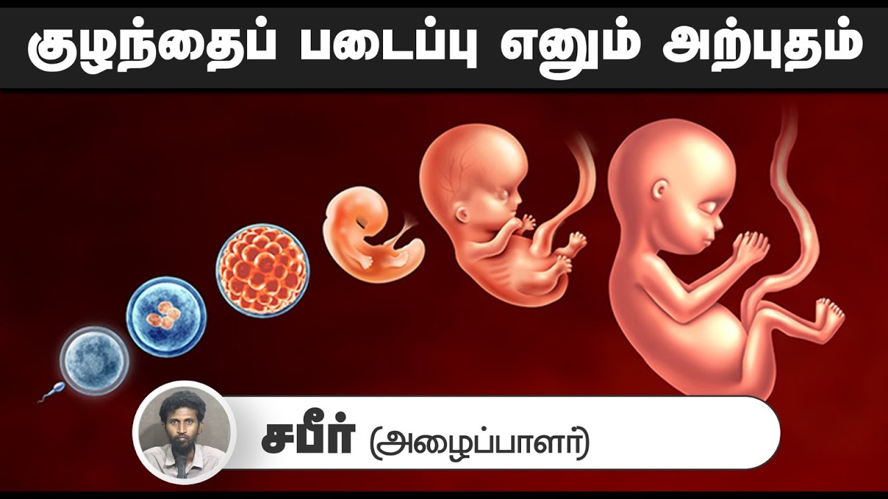 குழந்தைப் படைப்பு எனும் அற்புதம்┇சபீர் (அழைப்பாளர்)┇03-08-25┇Way to Paradise