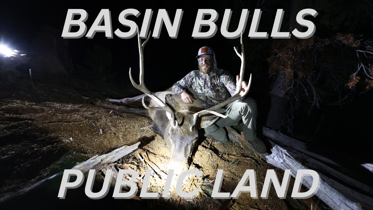 2022 Archery Elk Hunt 4K Public Land OTC Heavy 5x5 Down Shot at 24