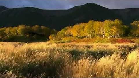 أالهُ مع الله | من أروع تلاوات القارئ سعيد الخطيب