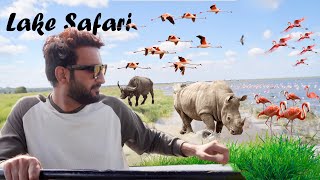 Day#04  Lake Nakuru Safari || KENYA || 😍