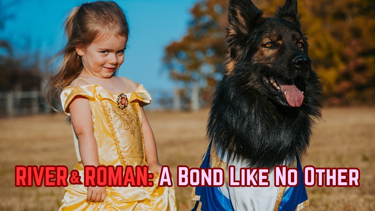 River and Roman: 🐾 A Protective German Shepherd Bond