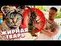 Купили МОНСТРА на РЫБНОМ рынке.  ЛОБСТЕР размером с небольшую СОБАКУ!!!