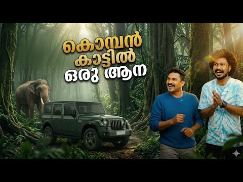 A Tusked Beast in the Forest