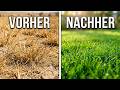 Rasen verbrannt und vertrocknet was tun - Erholt sich verbrannter Rasen wieder ?