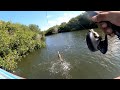 POR FIN PESCA EN MANGLAR  PESCANDO EN LOS ESTEROS DE MAZATLAN