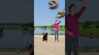 Foods eating vs Correct body parts and matching funny magical vfx gaming video