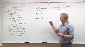 2015 MCAT Psychology (3) - Difference Threshold & Weber