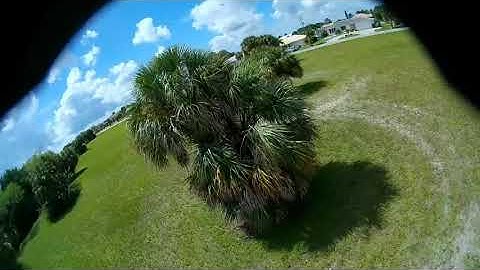 Twig XL HD Sunday racing