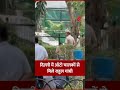 राहुल गांधी ने दिल्ली के बंगाली मार्केट स्थित तोदरमल पार्क में ऑटो रिक्शा चालकों से बातचीत की।#short