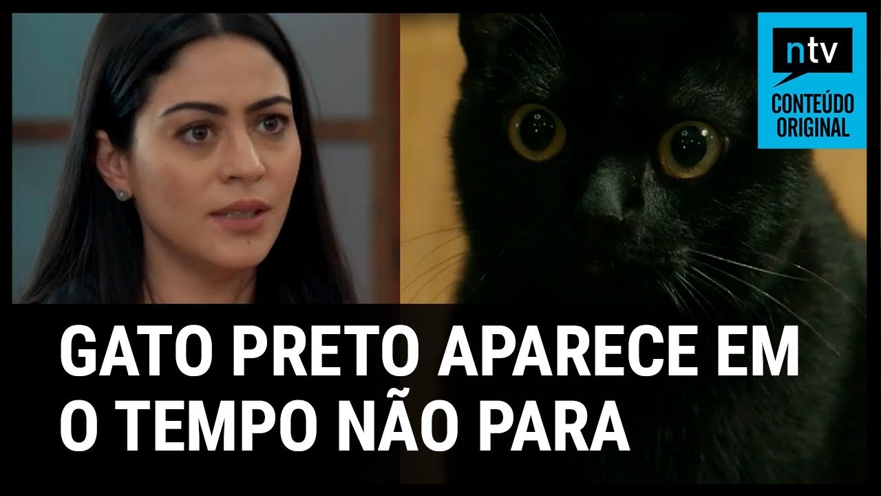 A verdadeira história do gato preto! - Telecão