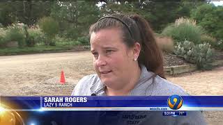 USDA cites Lazy 5 Ranch in Mooresville with dozens of animal welfare violations
