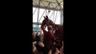 War Horses Joey At The Uk Tour Press Launch