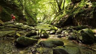 Body Movement (Yoga) with the Flow of the Gentle River 1 Hour