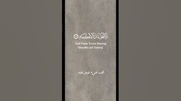 القارئ رعد الكردي | اكتب شيء تؤجر عليه #القرآن_الكريم #رعد_الكردي