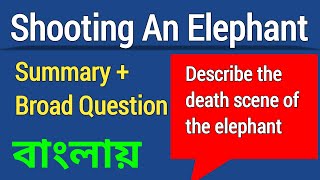 Shooting An Elephant Summary & Broad Questions | Describe the death scene of the Elephant