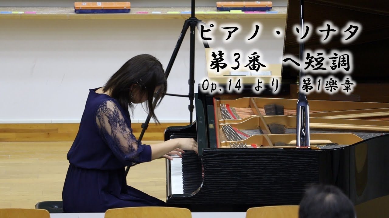 ロベルト・シューマン：ピアノ・ソナタ第3番 ヘ短調 Op.14 第1楽章
