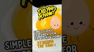 Egg Experiments Fun Science With A Stem Scientist Mom