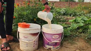 How I Got 10x More Vegetables Using a Secret Yeast Mixture I Found in My Kitchen Pantry!