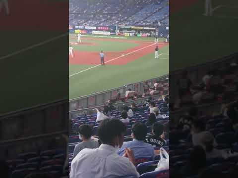 2020年8月28日  オリックスVSロッテ   安田の打席