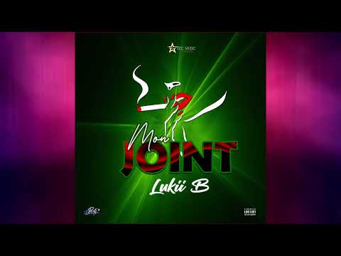 LUKII B - Mon Joint ( Officiel Audio )