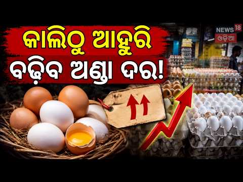 ଆକାଶଛୁଆଁ ହେଲାଣି ଅଣ୍ଡା ଦର! Egg Prices Soar in Odisha: Odisha Egg Price Today | Bhubaneswar Egg Rate