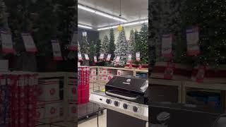 Big Lots Christmas Trees 🎄 | #christmas #christmastree #christmastreeshopping