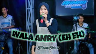 Wala Amry ( get legenta ) ~ Putri Cebret || Ahmad Music