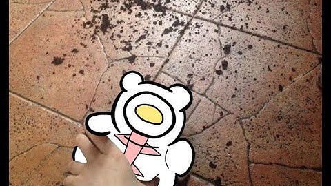 Argument | Ai: The Somnium Files Animatic