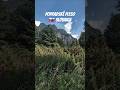 Tatra Mountains Views: Popradské Pleso #shorts #hiking #nature