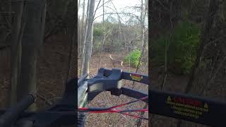 Crossbow vs whitetail deer | KILLSHOT screenshot 3